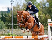 Martinengo Sunic GioCav2013 S5 3059 : Campionati Italiani Giovani Cavalli, Cattolica, Martinengo Riccardo, Sunic, ph Stefano Secchi ©