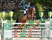 Mion Jasmina GioCav2013 S6 7547 : Campionati Italiani Giovani Cavalli, Cattolica, Jasmina, Mion Cristiano, ph Stefano Secchi ©