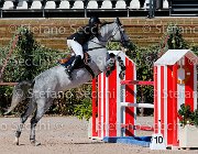 PRANDI Centaryllis GioCav2013 S5 1800 : Campionati Italiani Giovani Cavalli, Cattolica, Centaryllis, PRANDI Roberto, ph Stefano Secchi ©