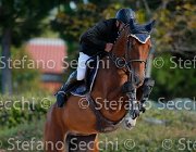 PRANDI Opera GioCav2013 S5 1479 : Campionati Italiani Giovani Cavalli, Cattolica, Opera del Castegno, PRANDI Roberto, ph Stefano Secchi ©