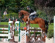 PRANDI Opera GioCav2013 S5 3649 : Campionati Italiani Giovani Cavalli, Cattolica, Opera del Castegno, PRANDI Roberto, ph Stefano Secchi ©