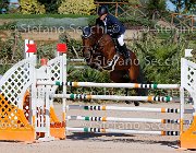 Ripamonti Casita GioCav2013 S5 1861 : Campionati Italiani Giovani Cavalli, Casita, Cattolica, Ripamonti Giuseppe, ph Stefano Secchi ©