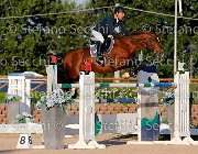 Rota Rebus GioCav2013 S5 3510 : Campionati Italiani Giovani Cavalli, Cattolica, Rebus di Valmarina, Rota Mario, ph Stefano Secchi ©