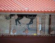  S5 4489 : Campionati Italiani Giovani Cavalli, Cattolica, ph Stefano Secchi ©