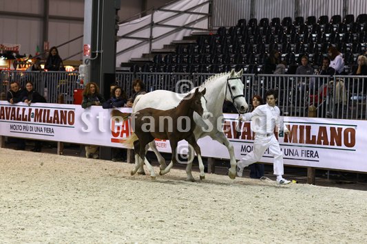 ACCORTO_MILANO_2010_SS3_8276.jpg