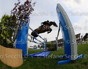 BREEN ZAMITA LaBaule2013- S4 0741 : 2013, BREEN SHANE, La Baule, ZAMITA, foto di Stefano Secchi ©
