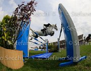 CAREY BALLYMORE LaBaule2013- S4 0676 : 2013, BALLYMORE EUSTACE, CAREY SHANE, La Baule, foto di Stefano Secchi ©