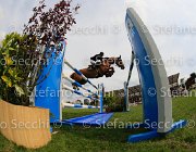 COUVE OSIRIS LaBaule2013- S4 0795 : 2013, COUVE CORREA TOMAS, La Baule, OSIRIS D'ORION, foto di Stefano Secchi ©