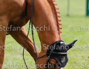 COUVE OSIRIS LaBaule2013- S5 8219 : 2013, COUVE CORREA TOMAS, La Baule, OSIRIS D'ORION, foto di Stefano Secchi ©