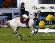 DEMEERSMANN CICERO LaBaule2013- S5 5187 : 2013, CICERO VAN PAMEL, DEMEERSMANN DIRK, La Baule, foto di Stefano Secchi