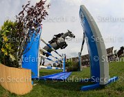 DEMEERSMANN FLEURI LaBaule2013- S4 0792 : 2013, DEMEERSMANN DIRK, FLEURI, La Baule, foto di Stefano Secchi ©
