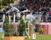 DEMEERSMANN FLEURI LaBaule2013- S5 8187 : 2013, DEMEERSMANN DIRK, FLEURI, La Baule, foto di Stefano Secchi ©