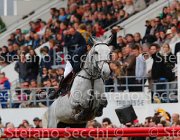 DEMEERSMANN FLUERI LaBaule2013- S5 8849 : 2013, DEMEERSMANN DIRK, FLEURI, La Baule, foto di Stefano Secchi ©