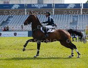 FLETCHER UNIQUE LaBaule2013- S5 5261 : 2013, FLETCHER TINA, La Baule, UNIQUE IX, foto di Stefano Secchi