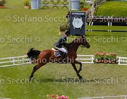 GUERDAT SIDNEY LaBaule2013- S5 7125 : 2013, Guerdat Steve, La Baule, SIDNEY VIII, foto di Stefano Secchi ©