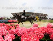 HECART VICHY LaBaule2013- S4 0542 : 2013, HECART MARIE, La Baule, VICHY, foto di Stefano Secchi ©