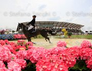 HECART VICHY LaBaule2013- S4 0543 : 2013, HECART MARIE, La Baule, VICHY, foto di Stefano Secchi ©
