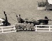 HENDRICKX COVIA LaBaule2013- S5 6992-2 : 2013, COVIA Z, HENDRICKX DOMINIQUE, La Baule, foto di Stefano Secchi ©