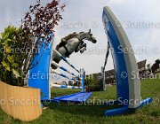 JABRI WHY LaBaule2013- S4 0758 : 2013, JABRI COL HASSAN, La Baule, WHY INDOCTRO, foto di Stefano Secchi ©