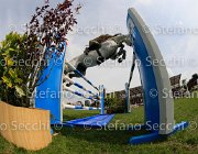 JABRI WHY LaBaule2013- S4 0759 : 2013, JABRI COL HASSAN, La Baule, WHY INDOCTRO, foto di Stefano Secchi ©