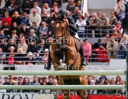 LAMBRE WASABI LaBaule2013- S5 8157 : 2013, LAMBRE SANTIAGO, La Baule, WASABI, foto di Stefano Secchi ©