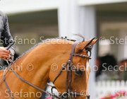 LAMBRE WASABI LaBaule2013- S5 8173 : 2013, LAMBRE SANTIAGO, La Baule, WASABI, foto di Stefano Secchi ©
