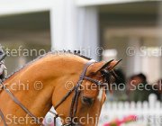 LAMBRE WASABI LaBaule2013- S5 8174 : 2013, LAMBRE SANTIAGO, La Baule, WASABI, foto di Stefano Secchi ©