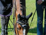 LEPREVOST NICE LaBaule2013- S5 4785 : 2013, LEPREVOST PENELOPE, La Baule, NICE STEPHANIE, foto di Stefano Secchi