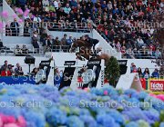 LEPREVOST TOPINAMBUR LaBaule2013- S5 6152 : 2013, LEPREVOST PENELOPE, La Baule, TOPINAMBOUR, foto di Stefano Secchi ©