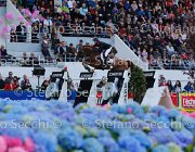 LEPREVOST TOPINAMBUR LaBaule2013- S5 6153 : 2013, LEPREVOST PENELOPE, La Baule, TOPINAMBOUR, foto di Stefano Secchi ©