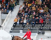 LEPREVOST TOPINAMBUR LaBaule2013- S5 9141 : 2013, LEPREVOST PENELOPE, La Baule, TOPINAMBOUR, foto di Stefano Secchi ©