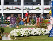 MATHY FALCO LaBaule2013- S5 5164 : 2013, FALCO VAN DE CLEHOVE, La Baule, MATHY JR FRANCOIS, foto di Stefano Secchi