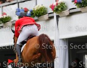 MATHY FALCO LaBaule2013- S5 8587 : 2013, FALCO VAN DE CLEHOVE, La Baule, MATHY JR FRANCOIS, foto di Stefano Secchi ©