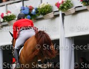 MATHY FALCO LaBaule2013- S5 8588 : 2013, FALCO VAN DE CLEHOVE, La Baule, MATHY JR FRANCOIS, foto di Stefano Secchi ©