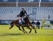 MONETA JESUS LaBaule2013- S5 5279 : 2013, JESUS DE LA COMUNE, La Baule, MONETA LUCA MARIA, foto di Stefano Secchi