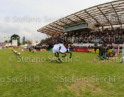 PREM DERBY LaBaule2013- S4 0623 : 2013, La Baule, PREMIAZIONE DERBY, foto di Stefano Secchi ©