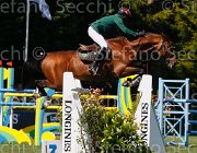 QUADDAR QUICKLY LaBaule2013- S4 8620 : 2013, La Baule, QUADDAR ABDELKEBIR, QUICKLY DE KREISKER, foto di Stefano Secchi