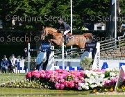 ROZIER AKITA LaBaule2013- S5 5040 : 2013, AKITA, La Baule, ROZIER PHILIPPE, foto di Stefano Secchi