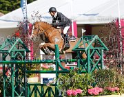 ROZIER AKITA LaBaule2013- S5 5041 : 2013, AKITA, La Baule, ROZIER PHILIPPE, foto di Stefano Secchi