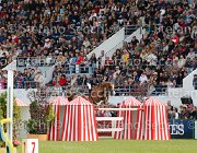 ROZIER ALITA LaBaule2013- S5 7916 : 2013, AKITA, La Baule, ROZIER PHILIPPE, foto di Stefano Secchi ©