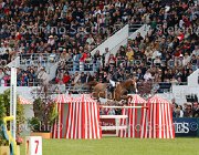 ROZIER ALITA LaBaule2013- S5 7918 : 2013, AKITA, La Baule, ROZIER PHILIPPE, foto di Stefano Secchi ©