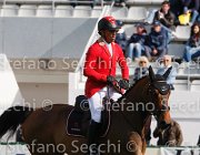 SCHWIZER VERDI LaBaule2013- S4 9442 : 2013, La Baule, SCHWIZER PIUS, VERDI III, foto di Stefano Secchi