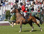 SPOONER CRISTALLO LaBaule2013- S4 8774 : 2013, CRISTALLO, La Baule, SPOONER RICHARD, foto di Stefano Secchi