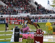 STAUT REQUIN LaBaule2013- S5 7225 : 2013, La Baule, REQUIN DE LANDETTE, STAUT KEVIN, foto di Stefano Secchi ©