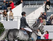 STAUT TARAN LaBaule2013- S4 9585 : 2013, La Baule, STAUT KEVIN, TARAN DE LA POMME, foto di Stefano Secchi