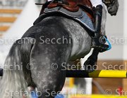 STAUT TARAN LaBaule2013- S4 9594 : 2013, La Baule, STAUT KEVIN, TARAN DE LA POMME, foto di Stefano Secchi