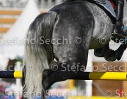 STAUT TARAN LaBaule2013- S4 9595 : 2013, La Baule, STAUT KEVIN, TARAN DE LA POMME, foto di Stefano Secchi