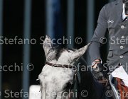 STAUT TARAN LaBaule2013- S4 9600 : 2013, La Baule, STAUT KEVIN, TARAN DE LA POMME, foto di Stefano Secchi