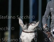 STAUT TARAN LaBaule2013- S4 9601 : 2013, La Baule, STAUT KEVIN, TARAN DE LA POMME, foto di Stefano Secchi
