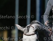 STAUT TARAN LaBaule2013- S4 9602 : 2013, La Baule, STAUT KEVIN, TARAN DE LA POMME, foto di Stefano Secchi